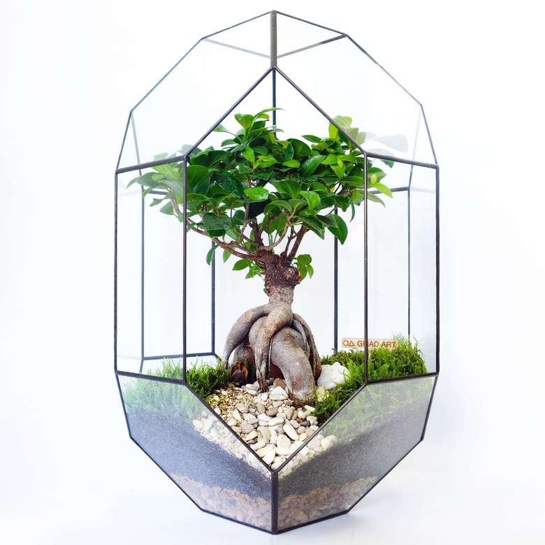 Прометей XL (50х30см)