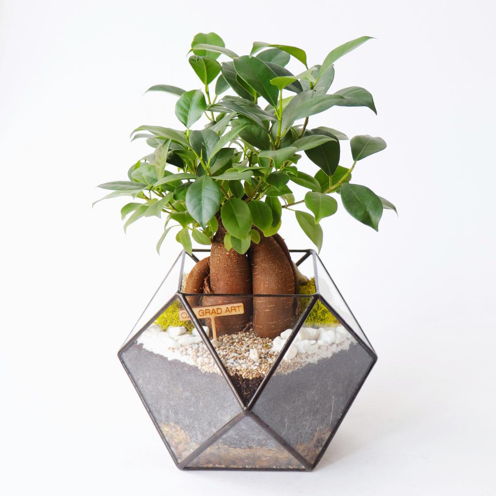 Кубоктаэдр M (25х23см)