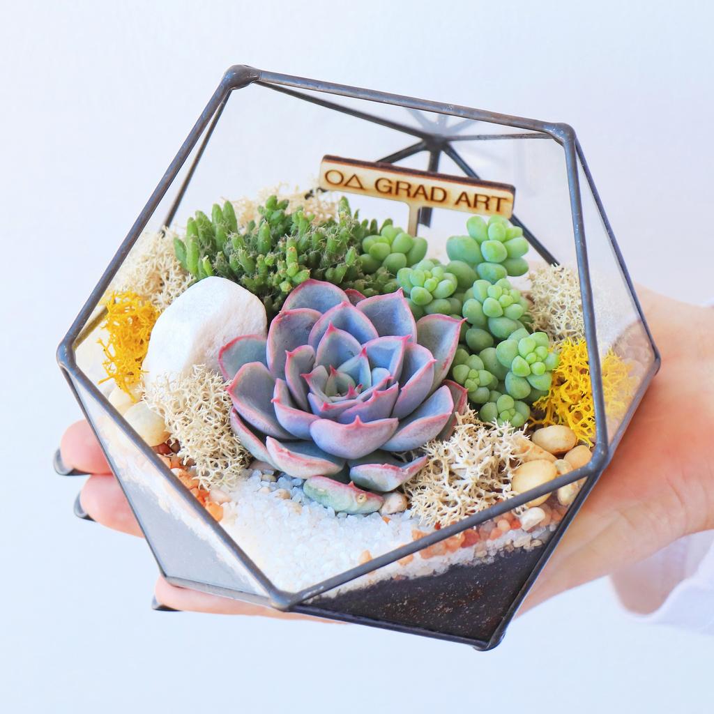 Икосаэдр XS (12х12см)