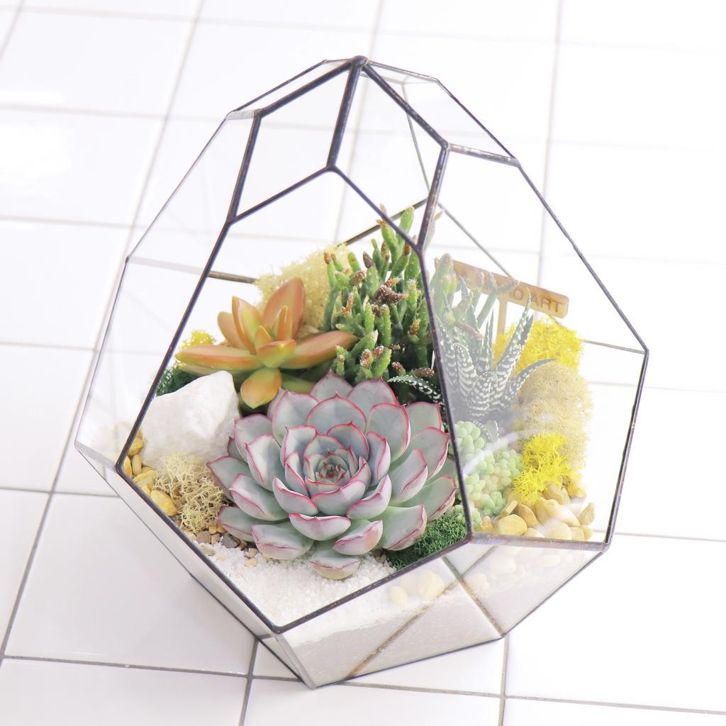 Комета M (25х22см)