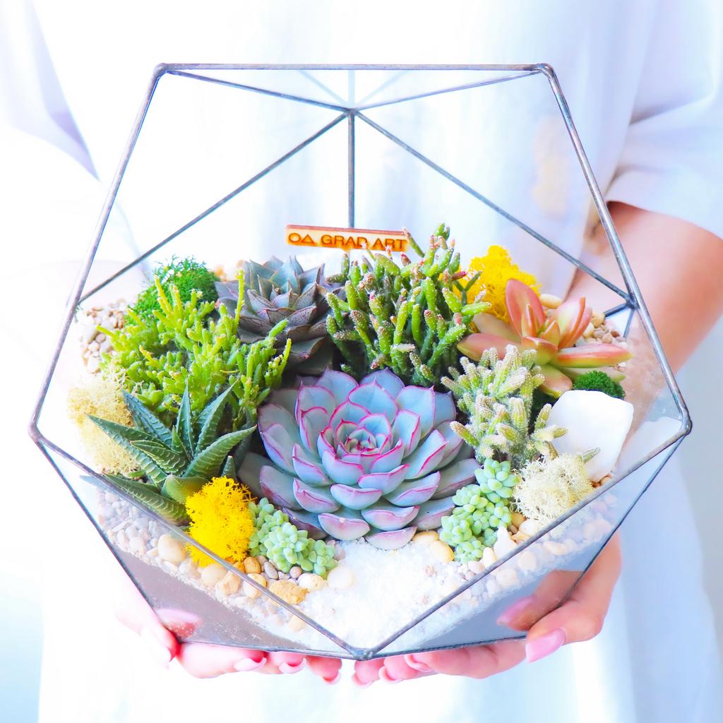 Икосаэдр L (25х25см)