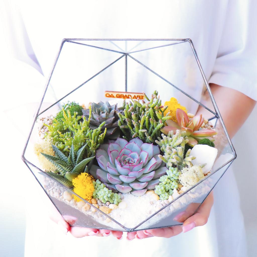 Икосаэдр L (25х25см)