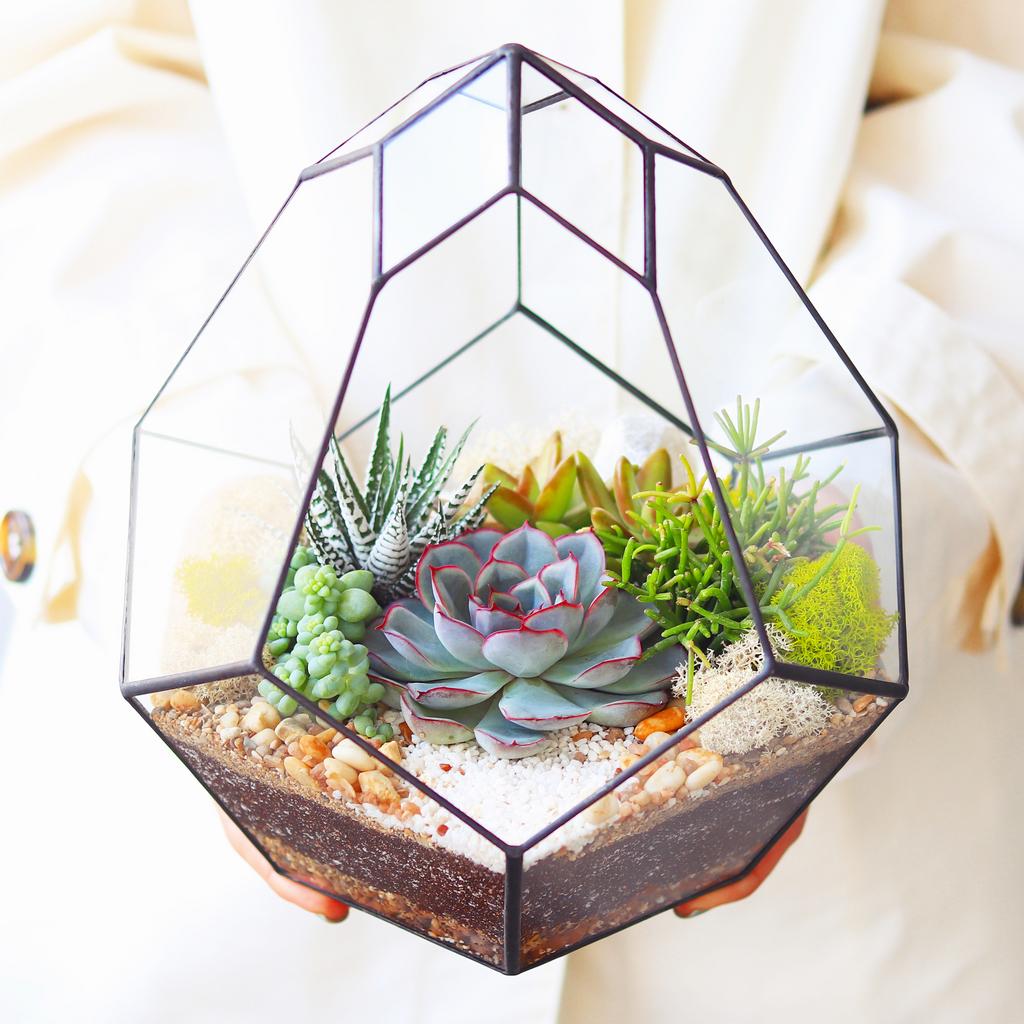 Комета L (29х26см)