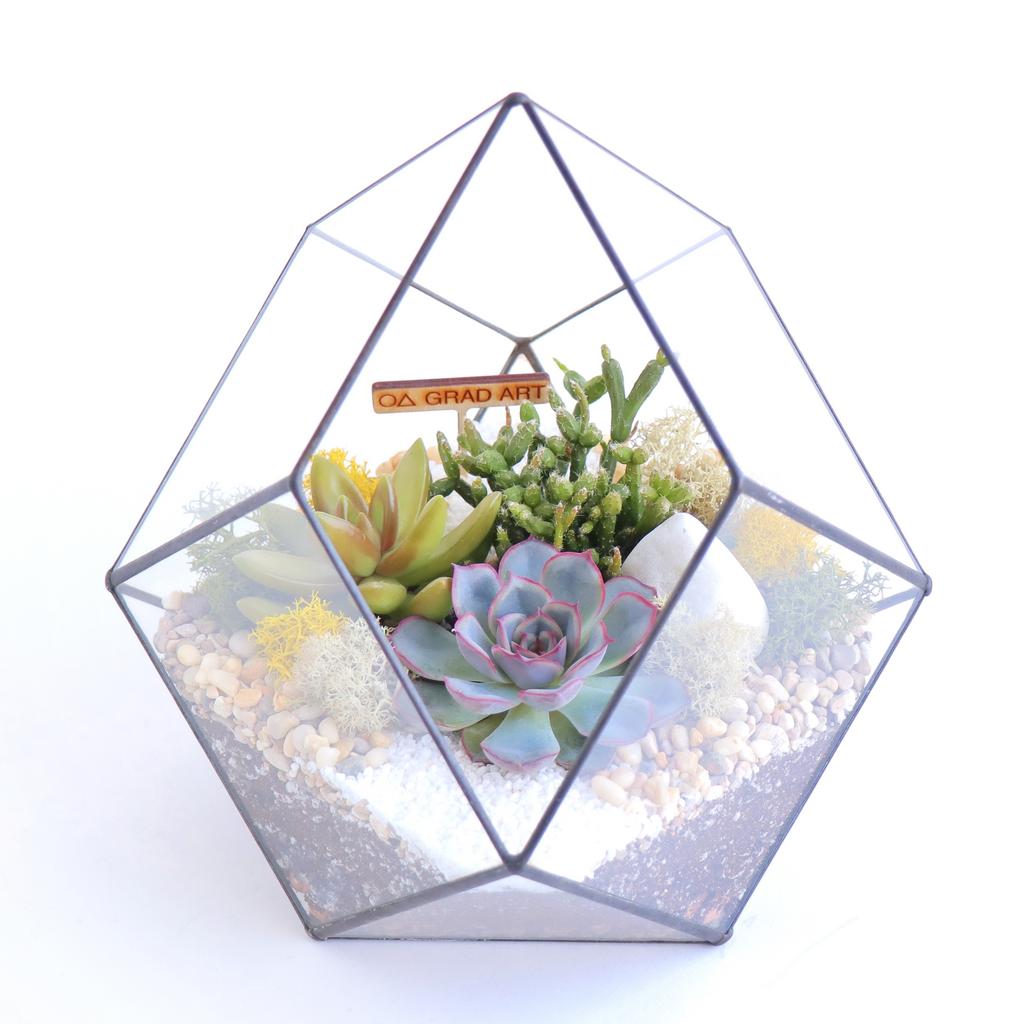 Кристалл M (20х19см)