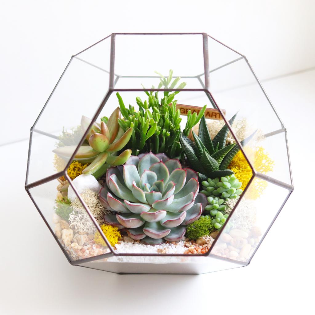 Мяч M (21х21см)