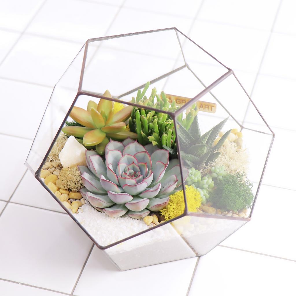 Додекаэдр M (19х22см)