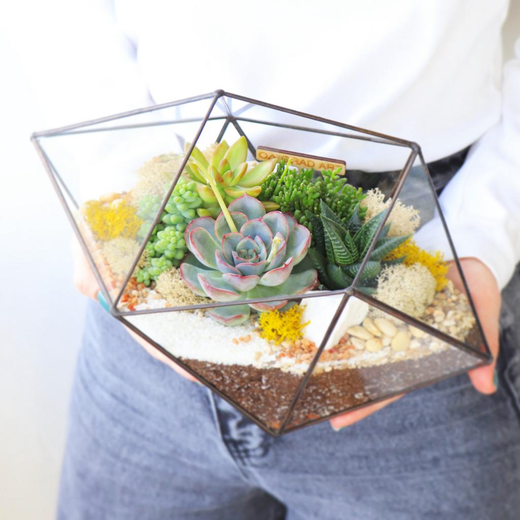 Ракета M (19х31см)