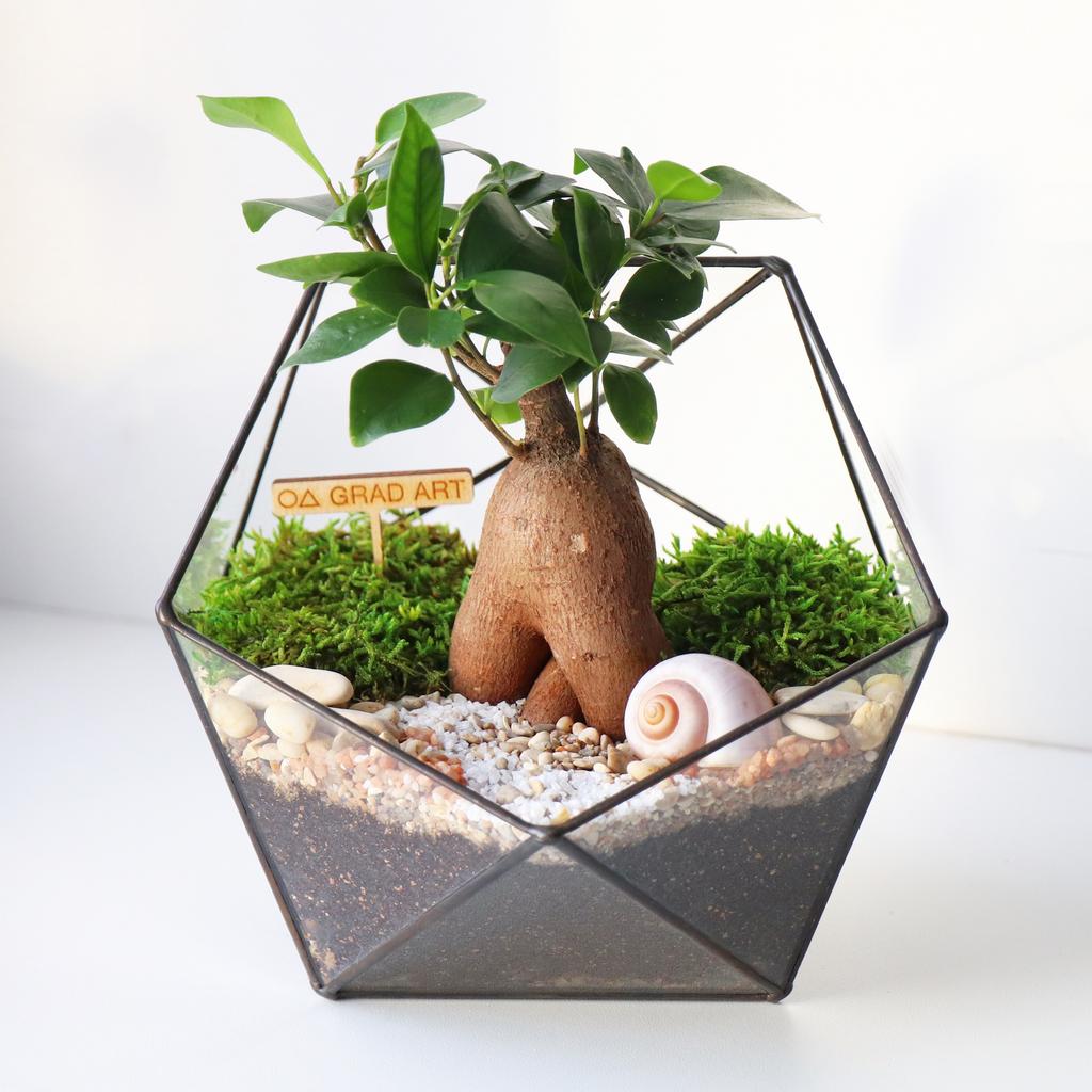 Икосаэдр S (20х16см)