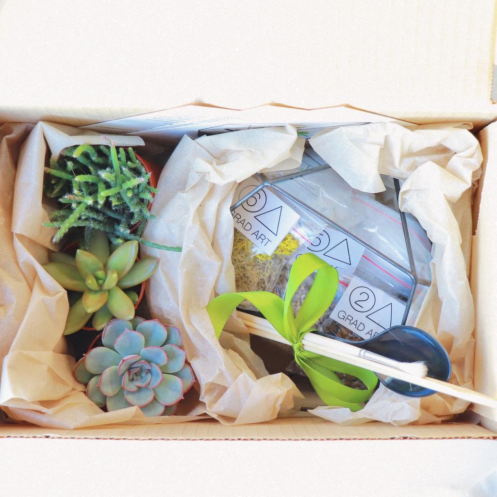 Набор для создания флорариума "Икосаэдр S"