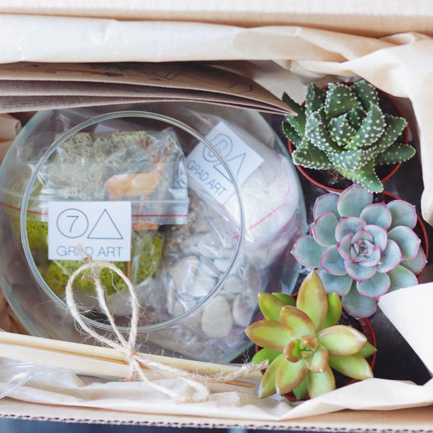 Набор для создания флорариума "Шар S"