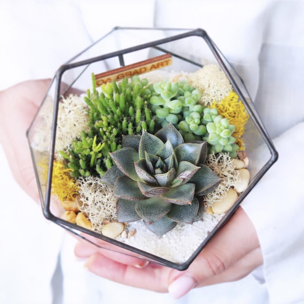 Икосаэдр XS (12х12см)