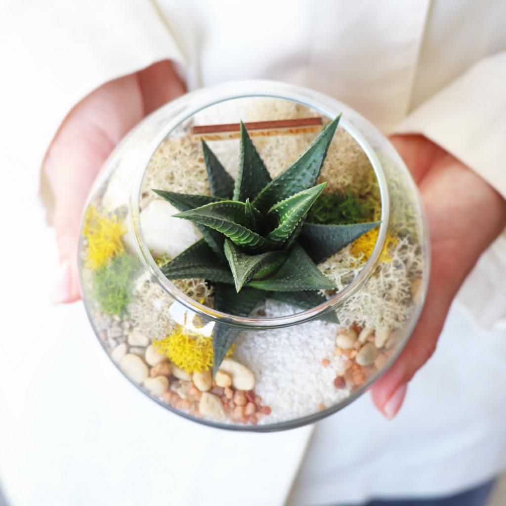 Шар XS (11х11см)