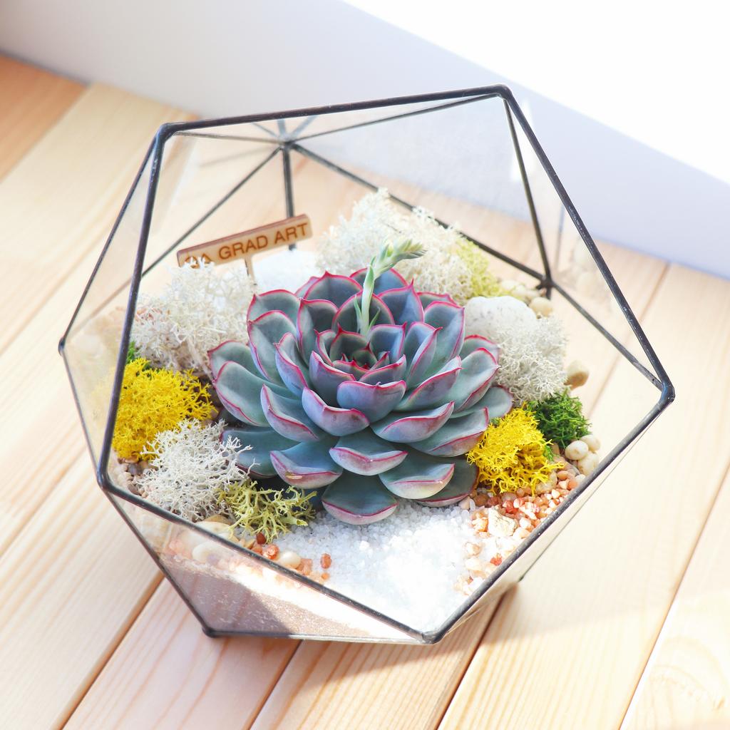 Икосаэдр S моно (16х16см)