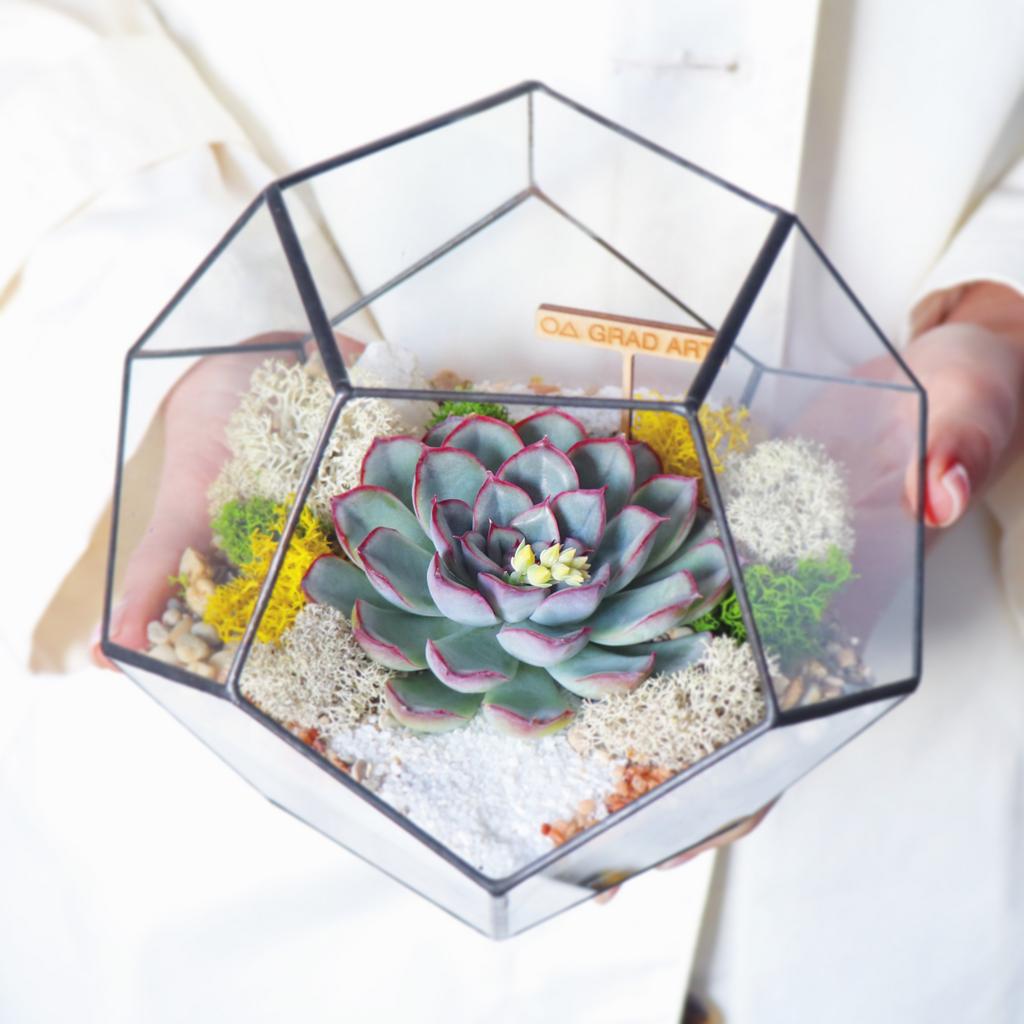 Додекаэдр S моно (16Х18см)