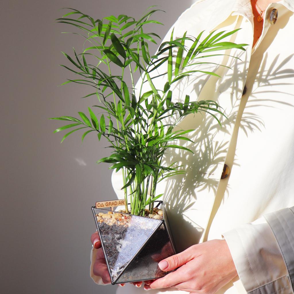 Пальма октаэдр S (35х11см)