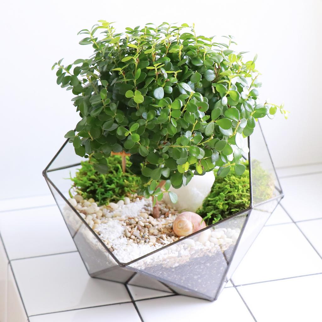 Икосаэдр M (25х20см)