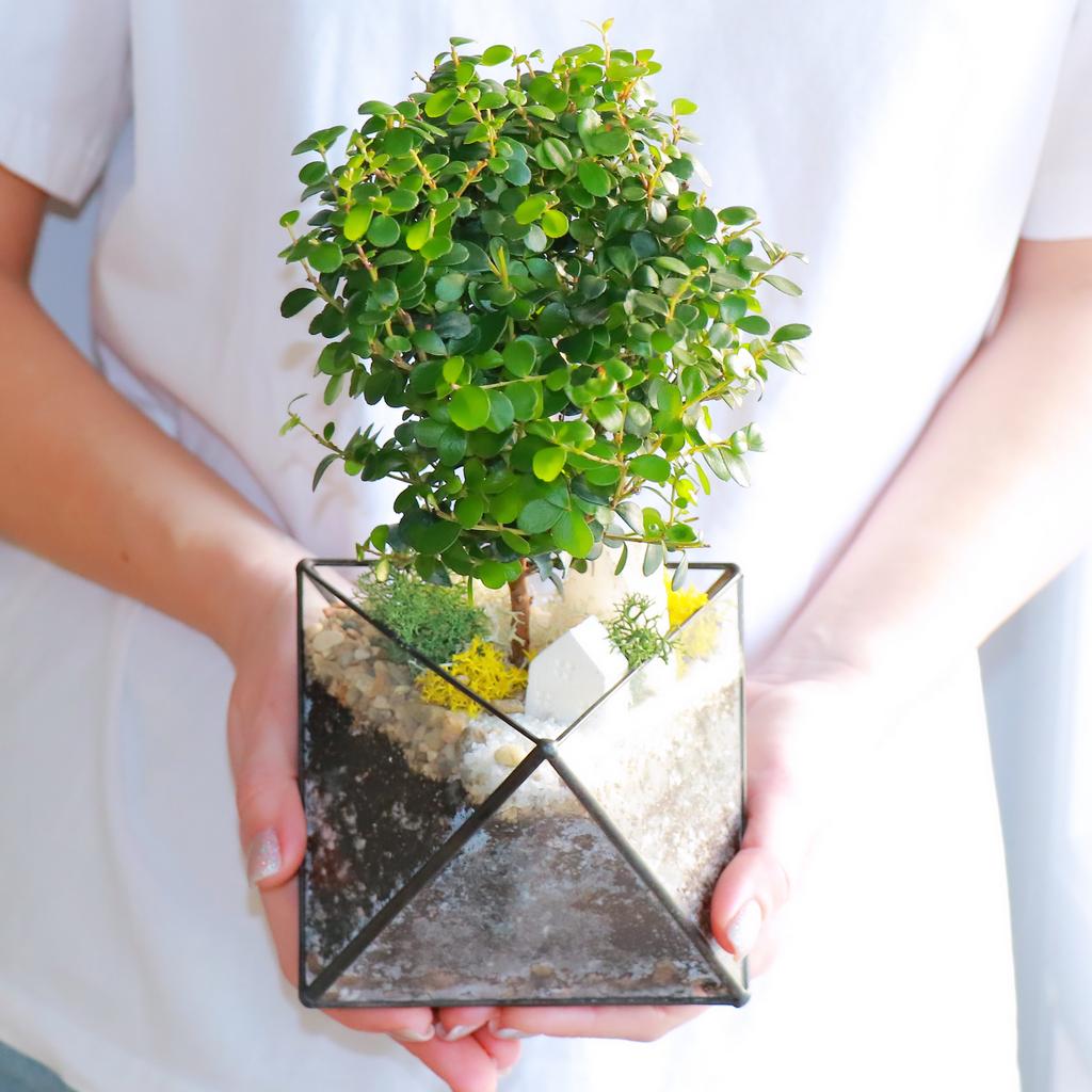 Октаэдр S (25х13см)