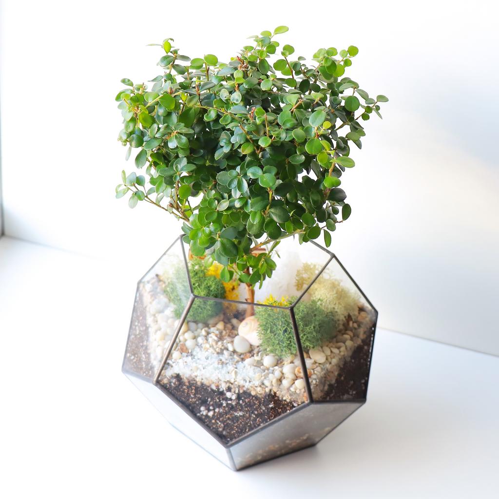 Додекаэдр М (25х18см)