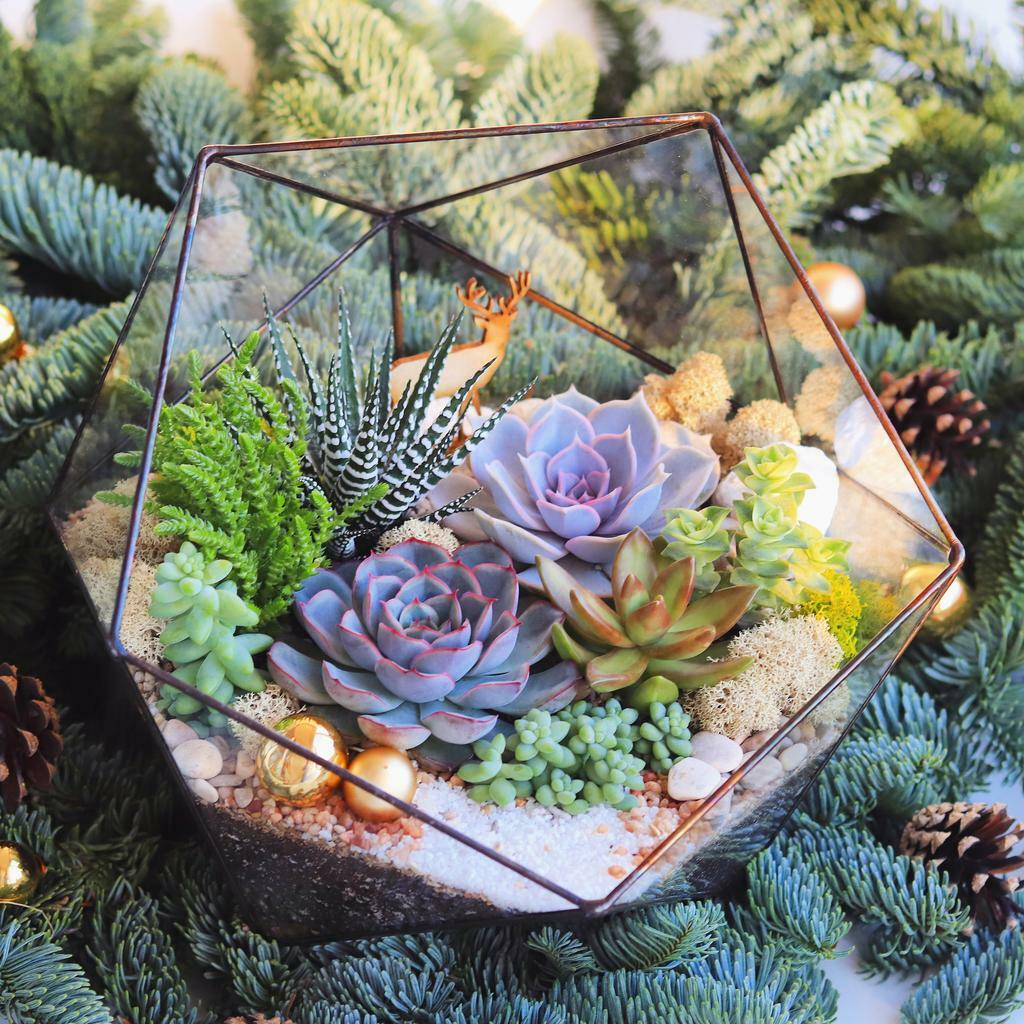 Икосаэдр L (25х25см)