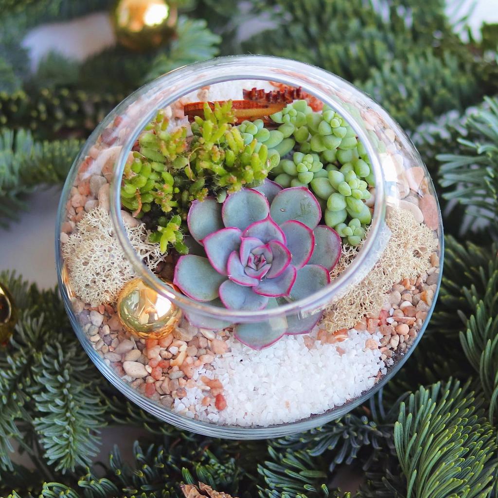 Шар XS (11х11см)