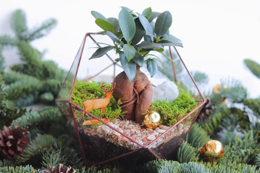 Икосаэдр S (20х16см)