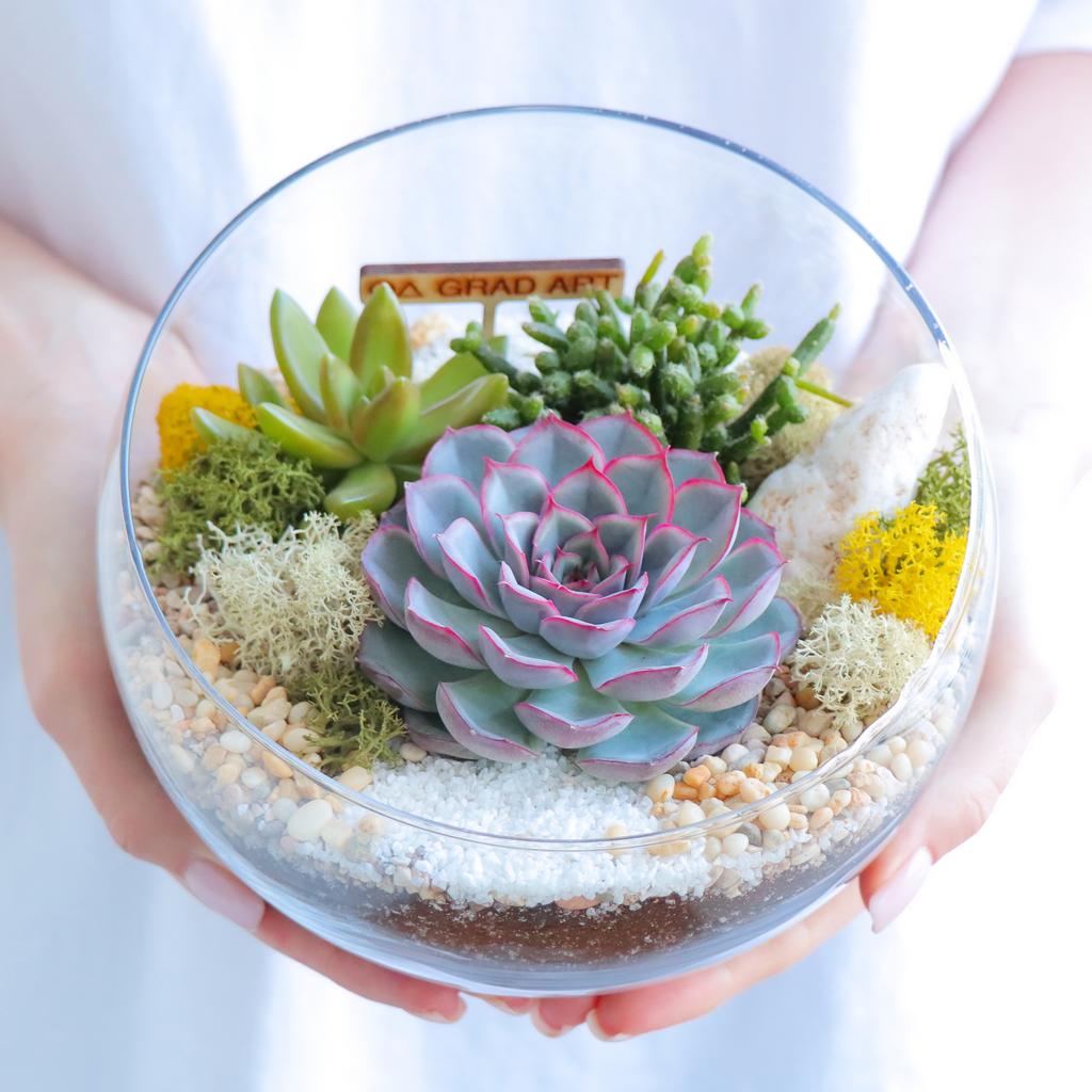 Полусфера M (13х18см)