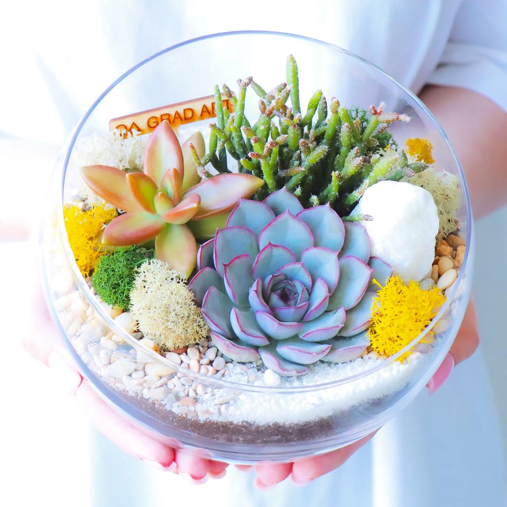 Полусфера М (13х18см)