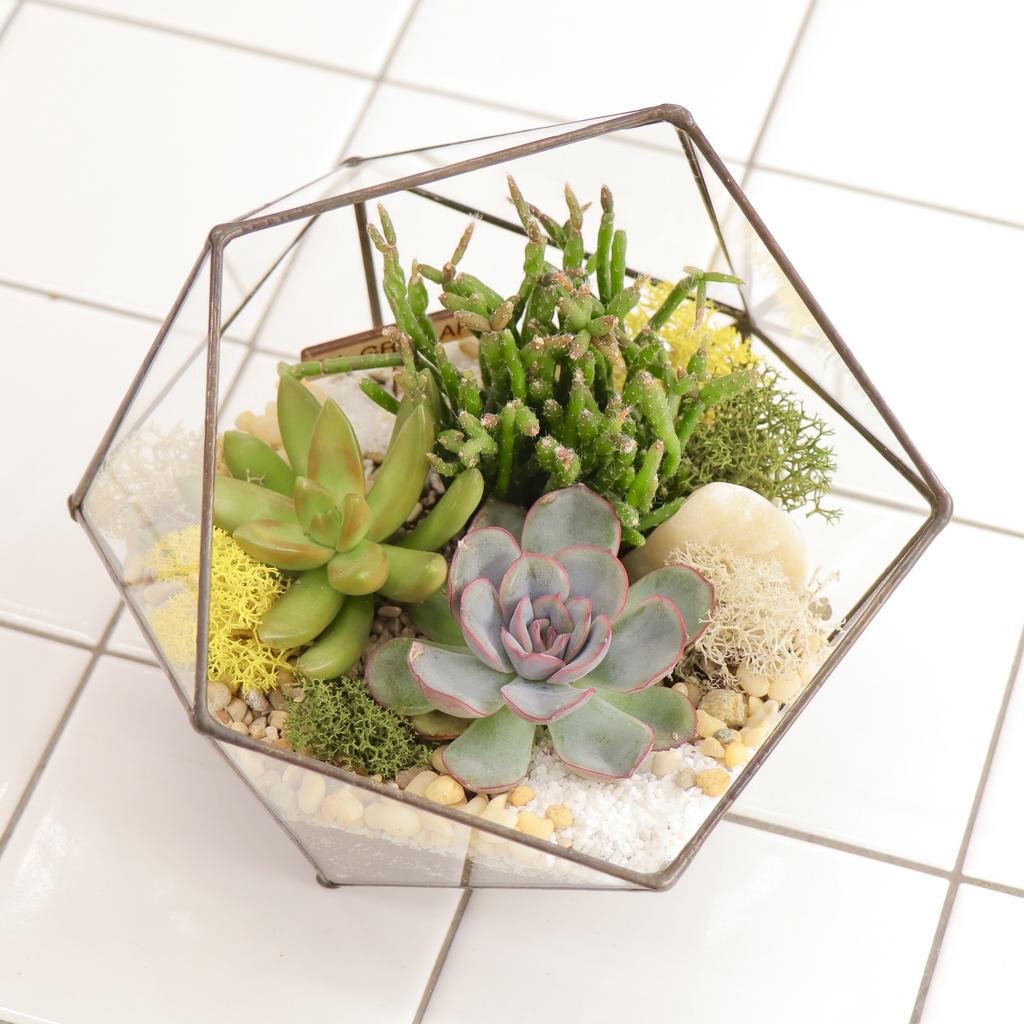 Икосаэдр S (16х16см)