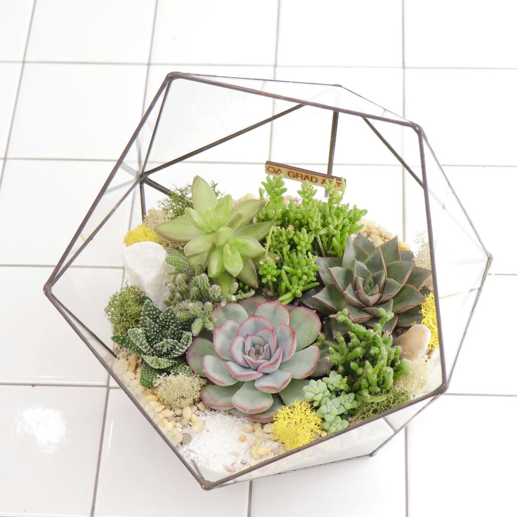 Икосаэдр L (25х25см)