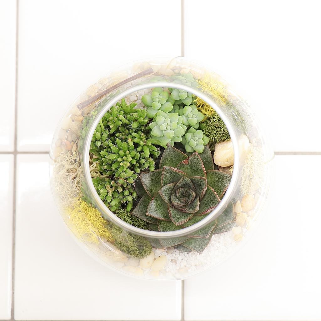 Шар XS (11х11см)