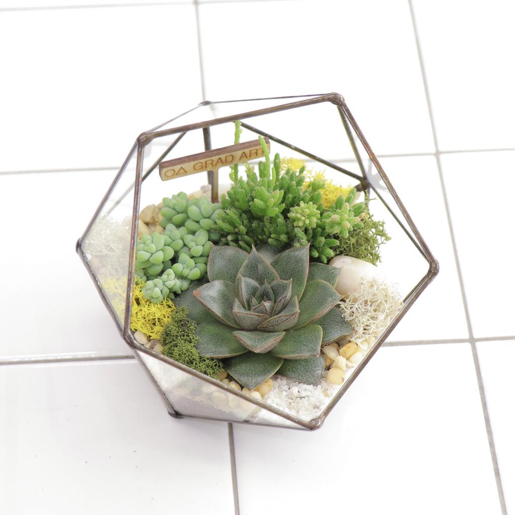 Икосаэдр XS (12х12см)