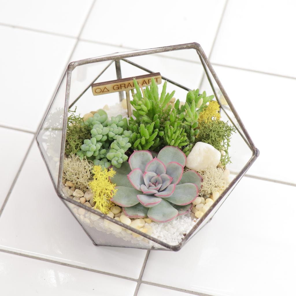 Икосаэдр XS (12х12см)