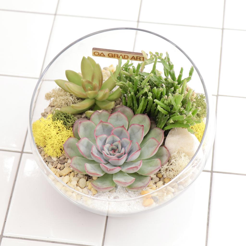 Полусфера М (13х18см)