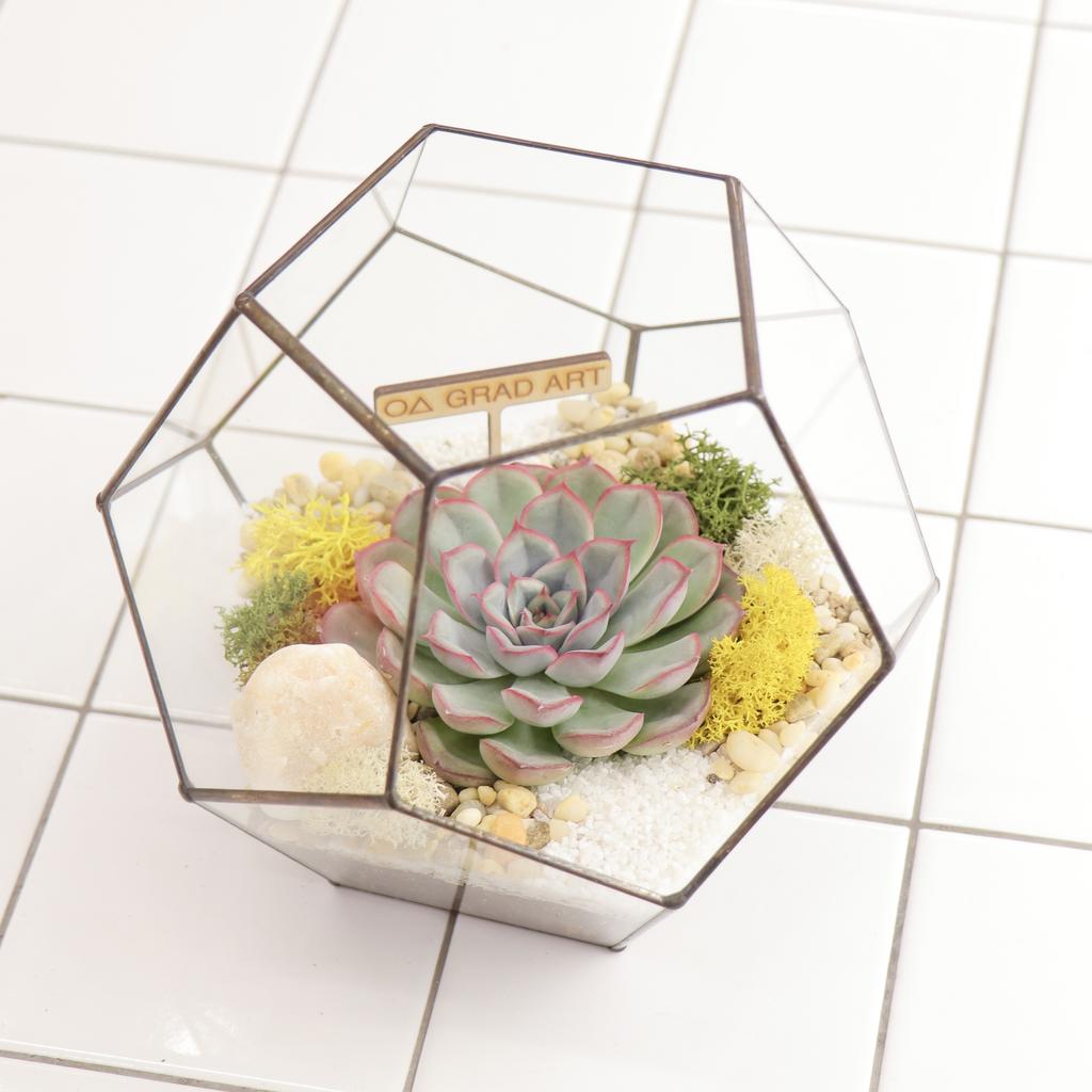 Додекаэдр S one (16Х18см)