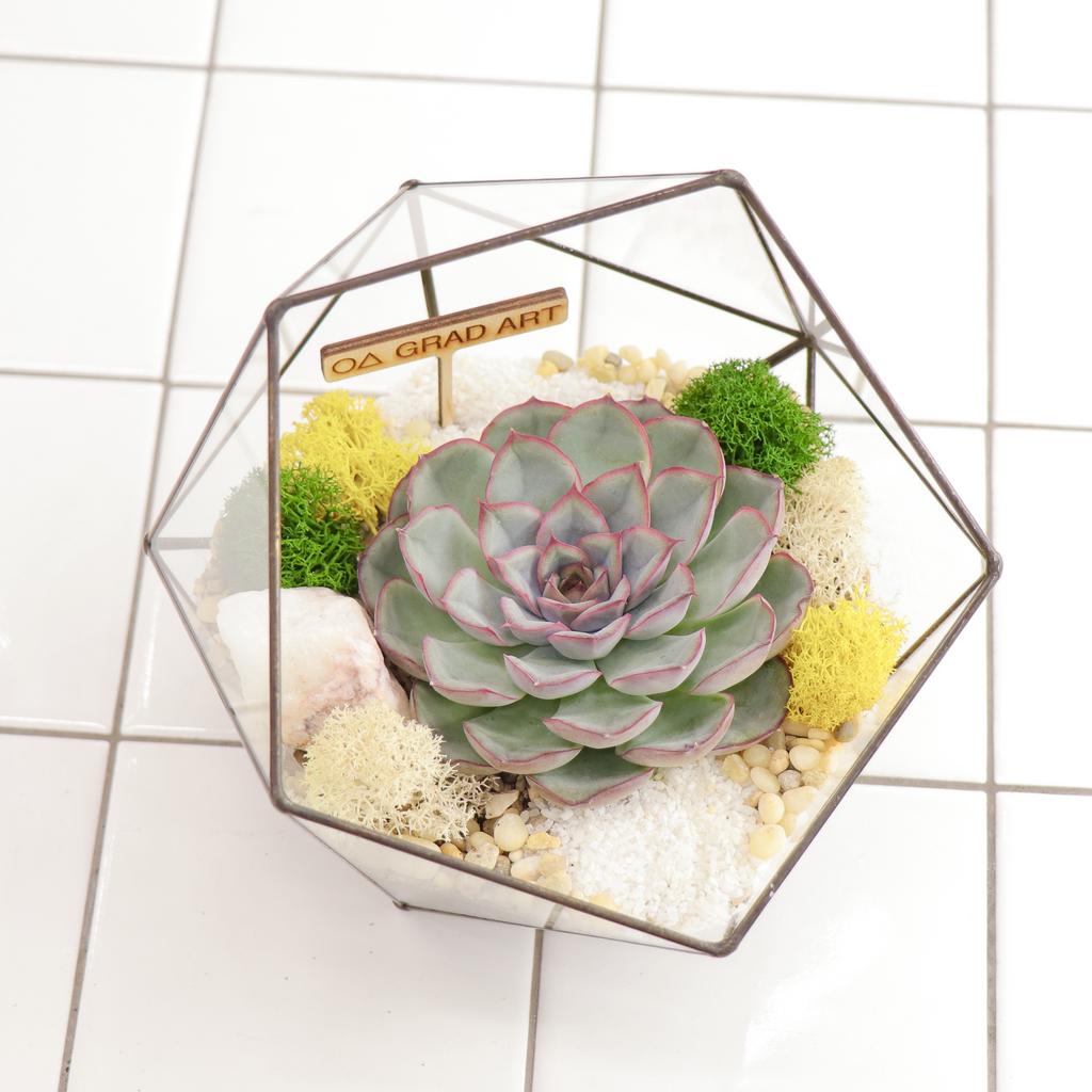 Икосаэдр S one (16х16см)