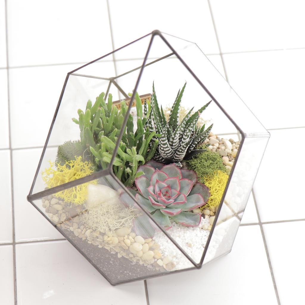 Кристалл S (20х19см)