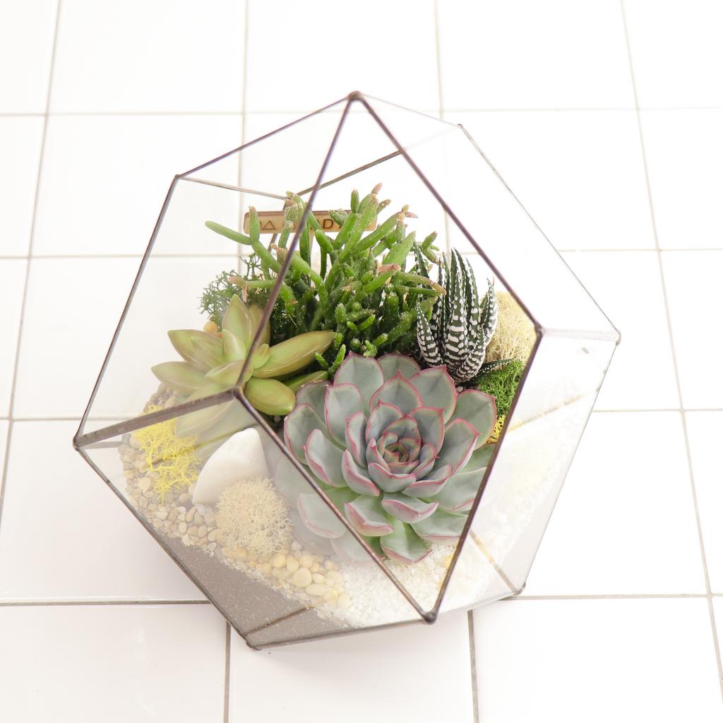 Кристалл M (24х23см)