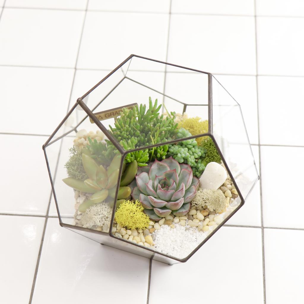 Додекаэдр S (16Х18см)