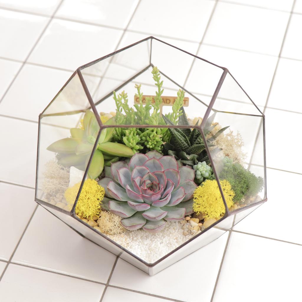 Додекаэдр M (19х22см)