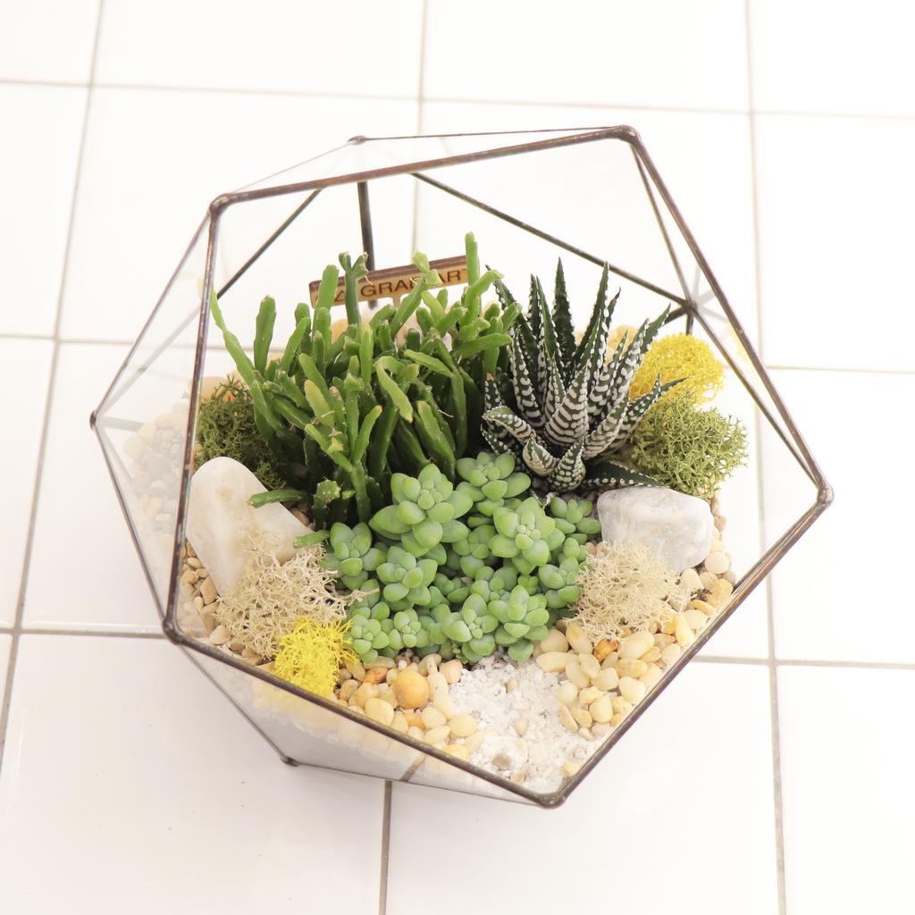 Икосаэдр S (16х16см)