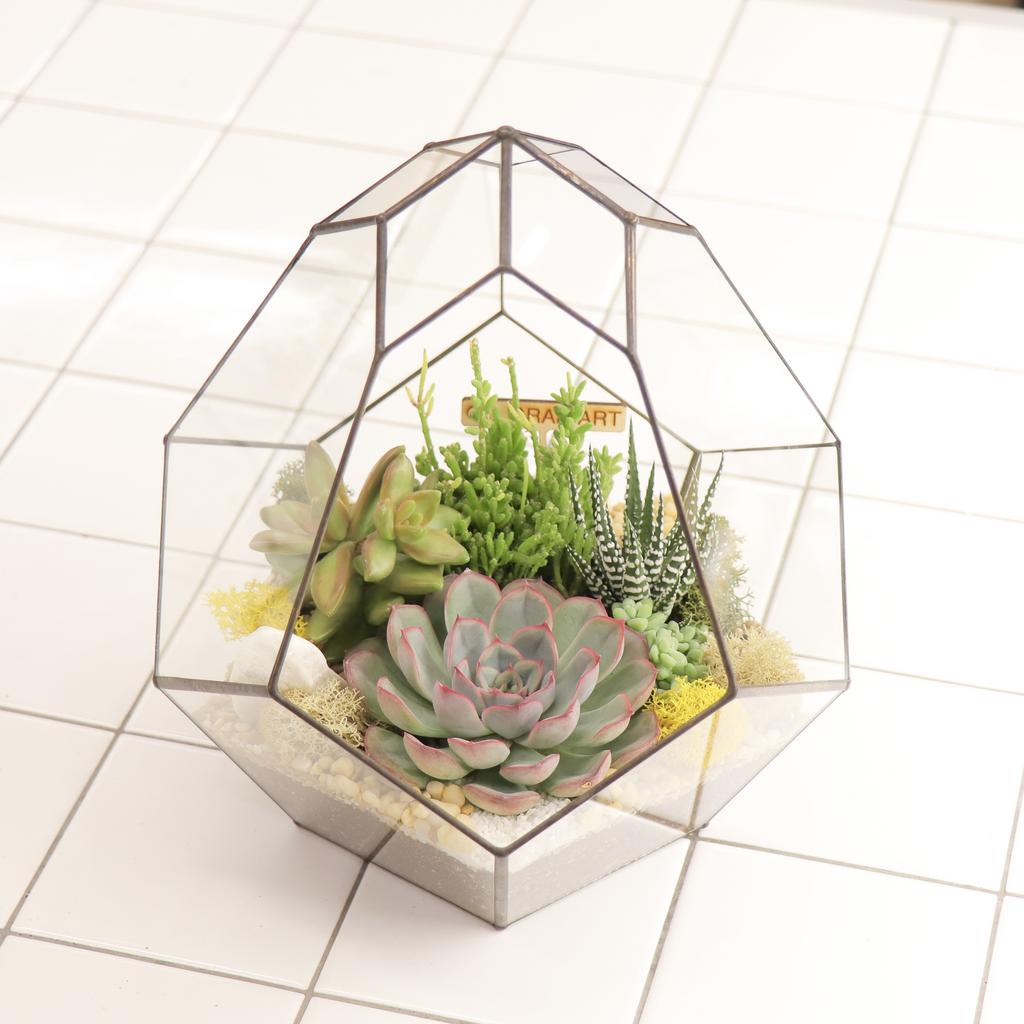 Комета M (25х22см)