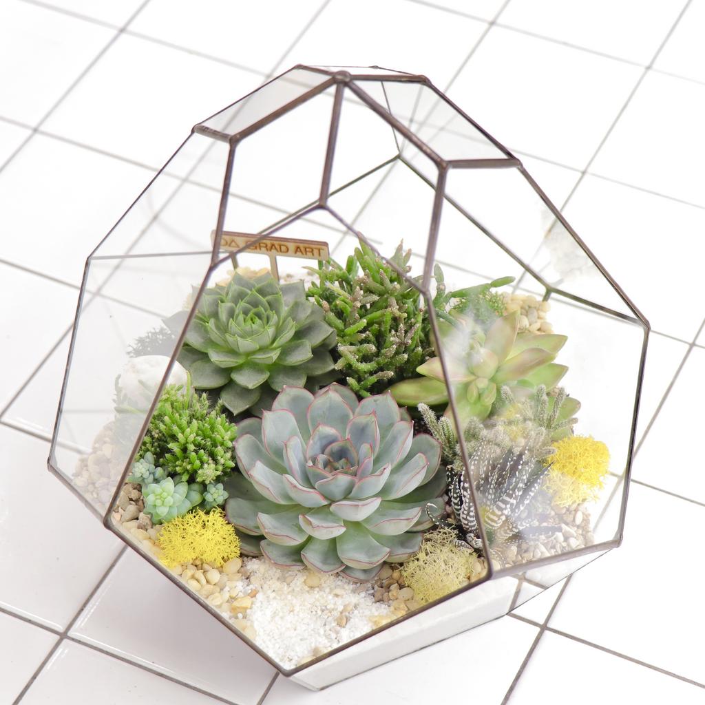 Комета L (29х26см)