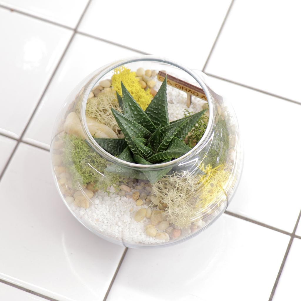 Шар XS (11х11см)