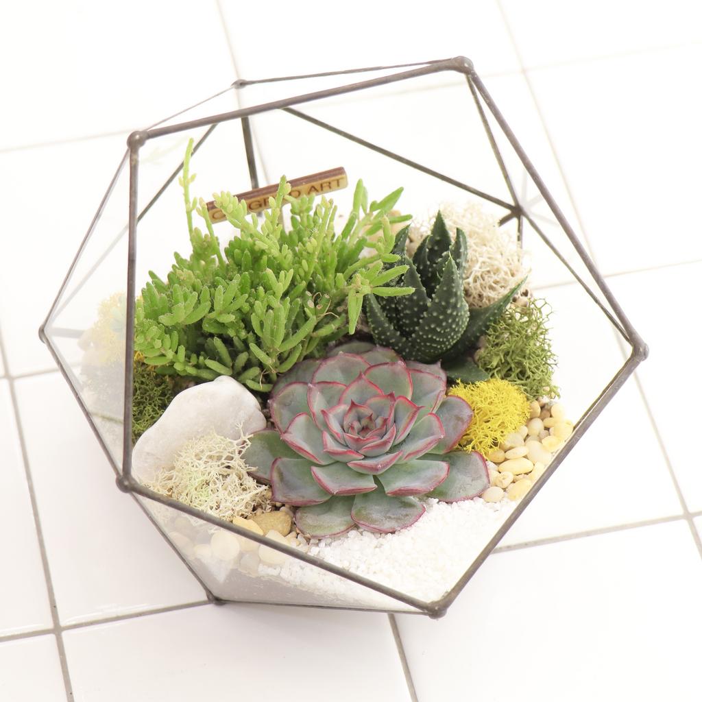 Икосаэдр S (16х16см)