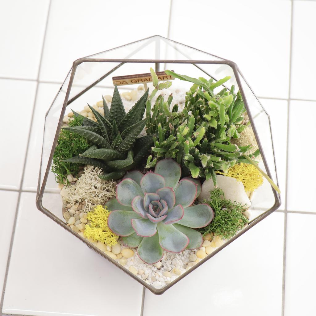 Икосаэдр S (16х16см)