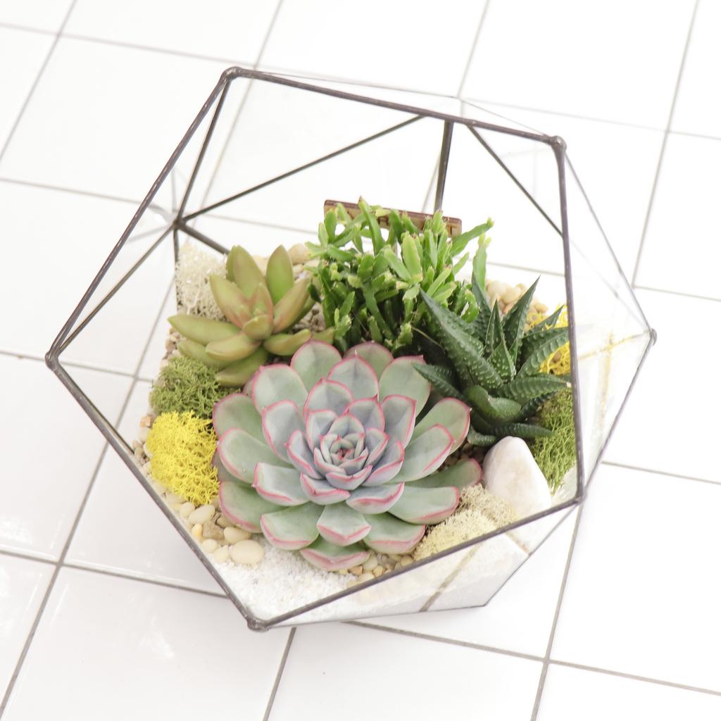 Икосаэдр M (20х20см)