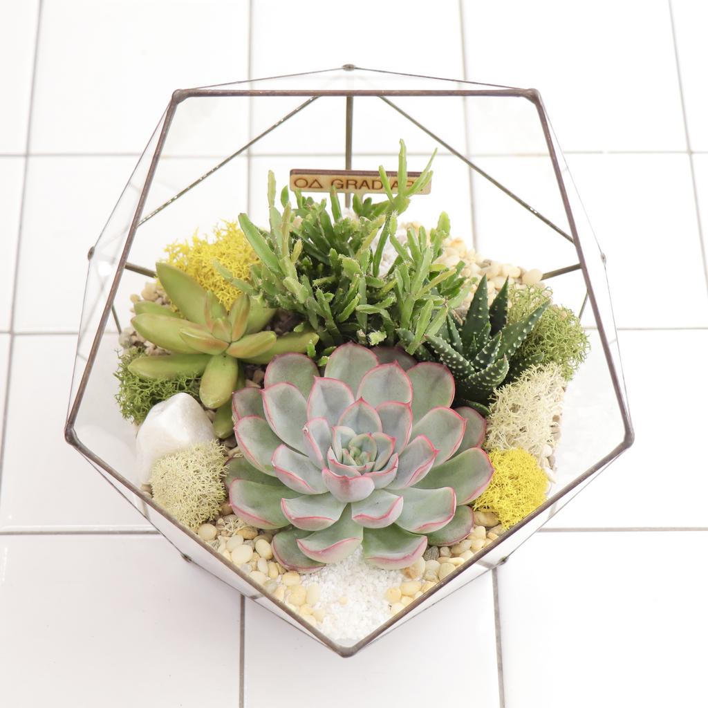 Икосаэдр M (20х20см)