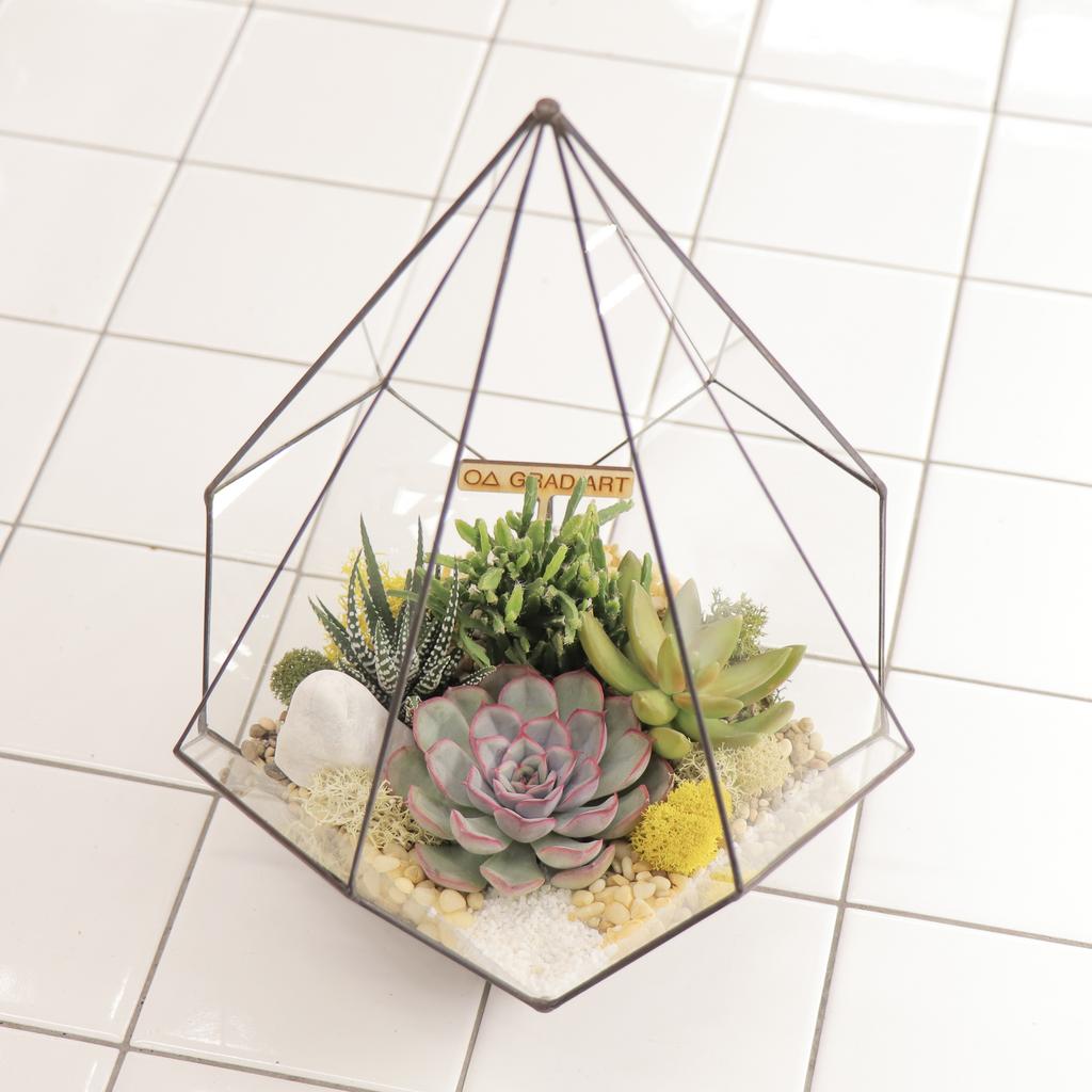 Капля M (29х21см)