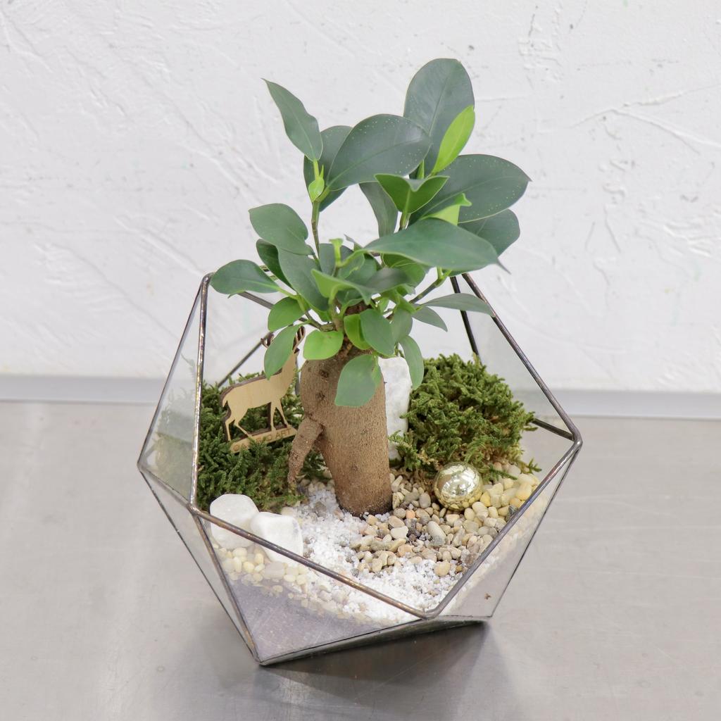 Икосаэдр S (20х16см)