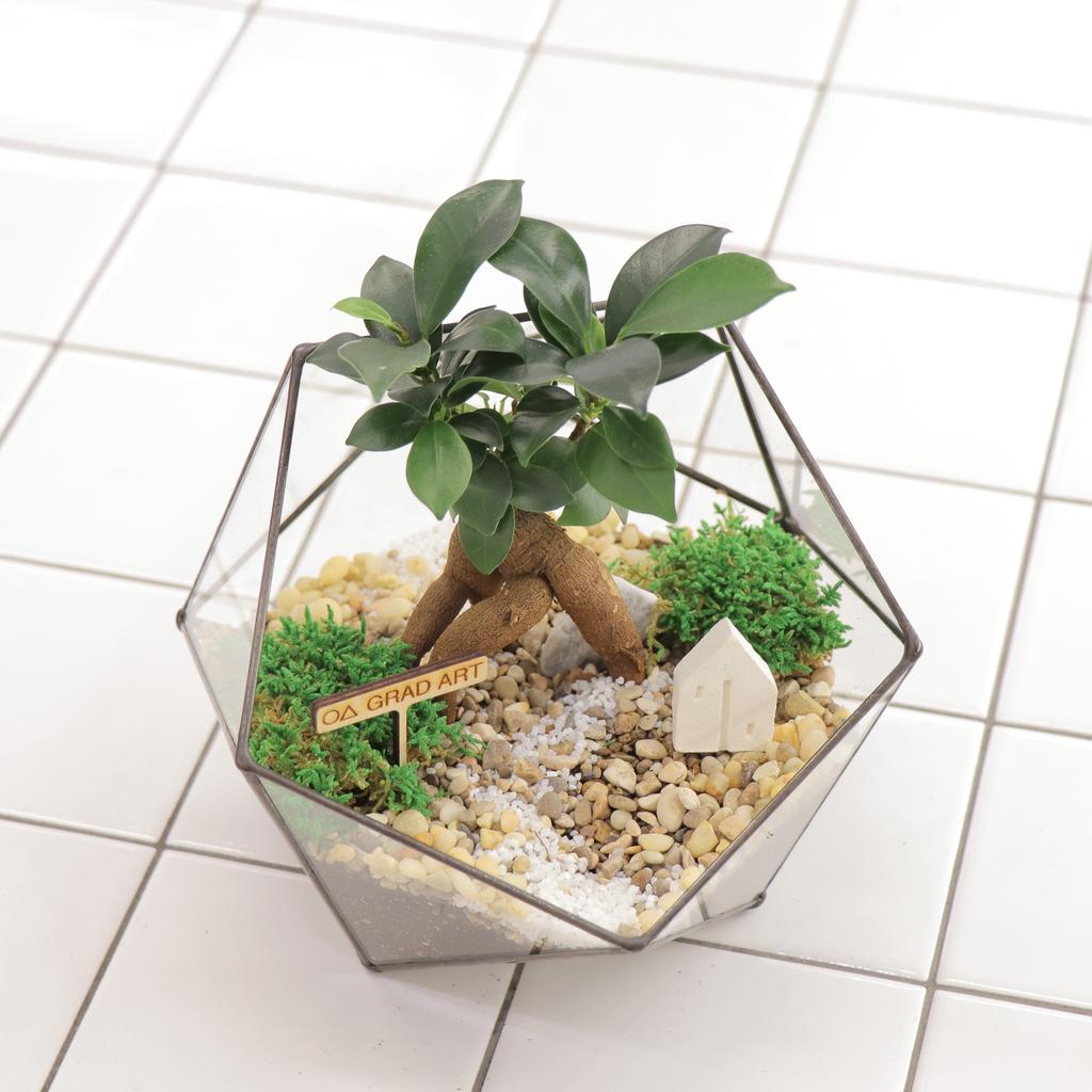 Икосаэдр S (20х16см)